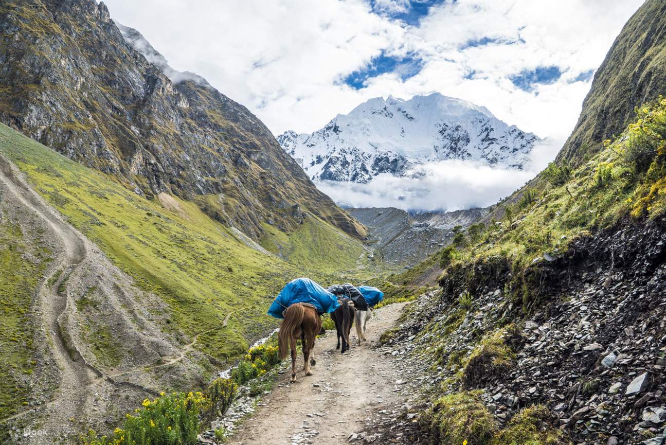 Salkantay trek to on sale machu picchu 4 days