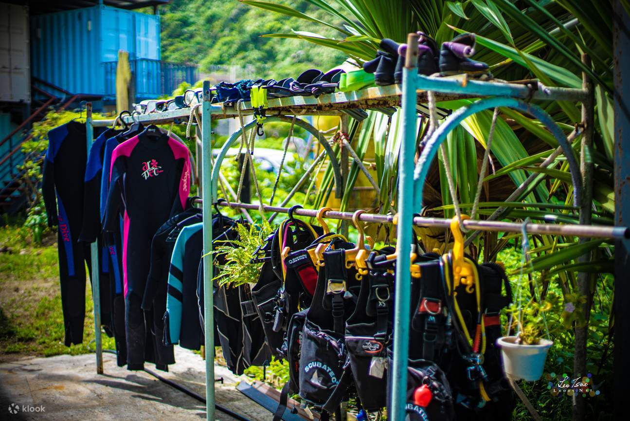 Green Island: Experience Diving · PADI Certification Course Klook