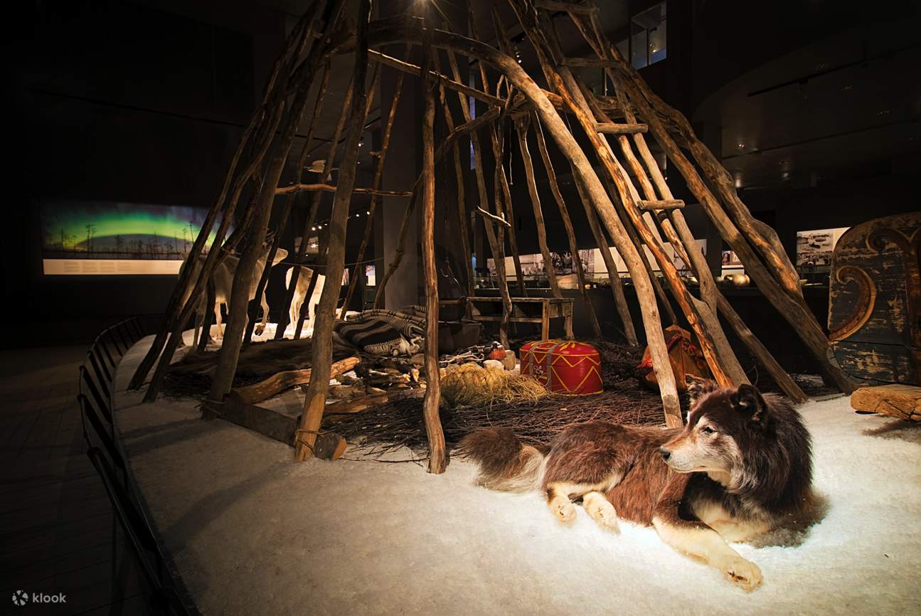 Arktikum Science Center and Museum Ticket in Rovaniemi - Klook India