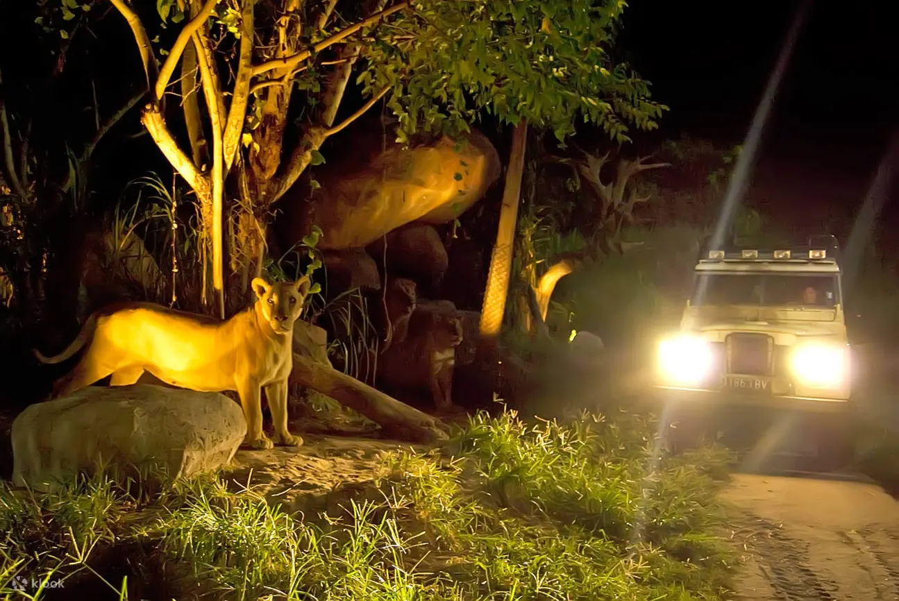 night safari in bali safari marine park
