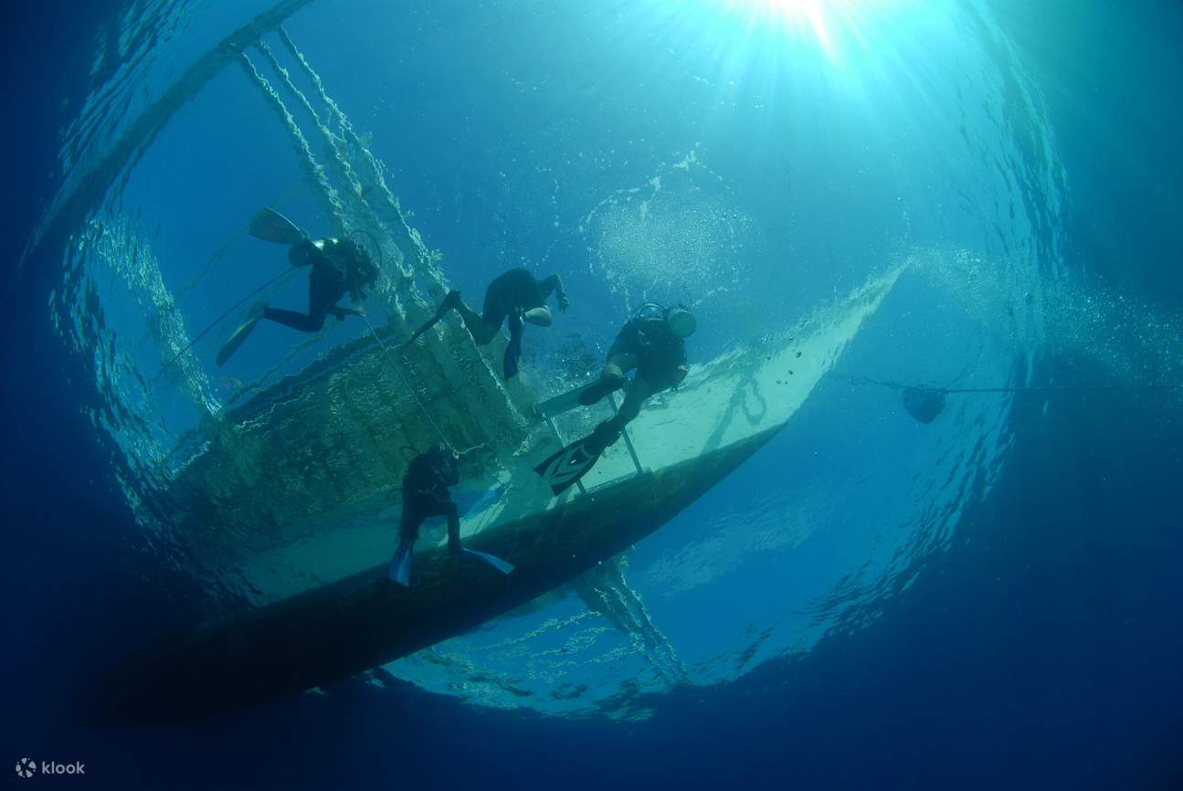 Elevate Your Dive: PADI Enriched Air Diver (Nitrox) in Malapascua with ...