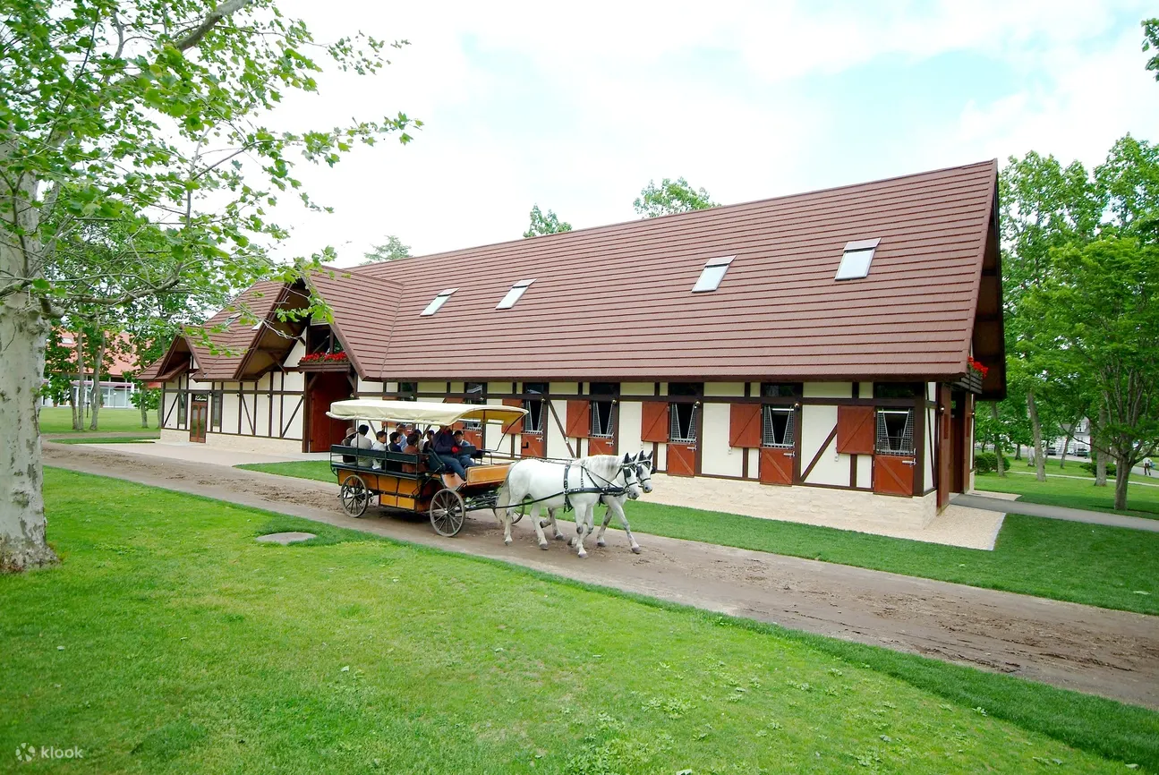 Northern Horse Park Admission Assisted Riding Tour Set Ticket In Tomakomai Klook United Kingdom