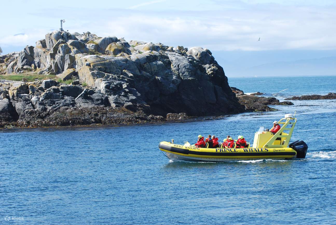 Nikmati perjalanan yang hebat di atas bot Zodiac