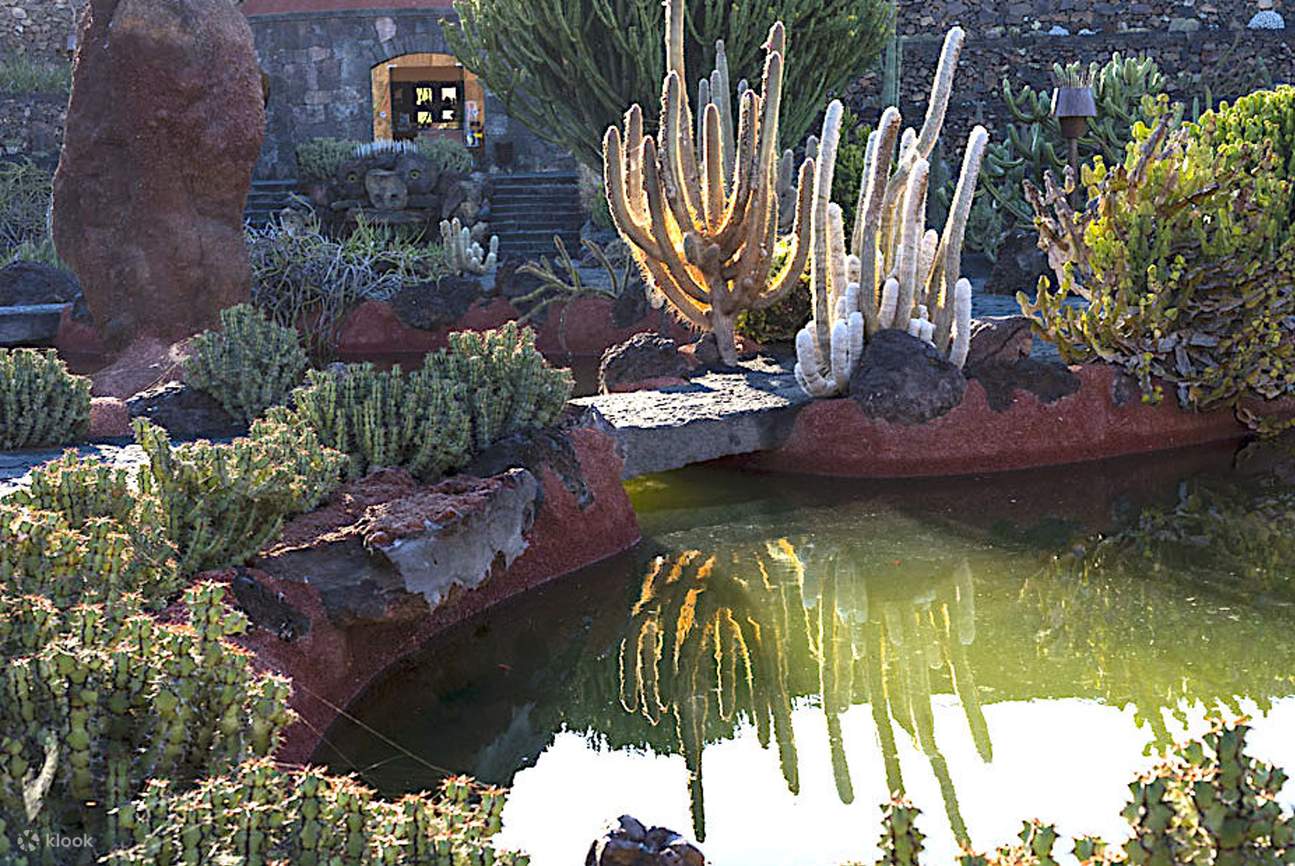 Jardin de Cactus Admission Ticket in Lanzarote - Klook India