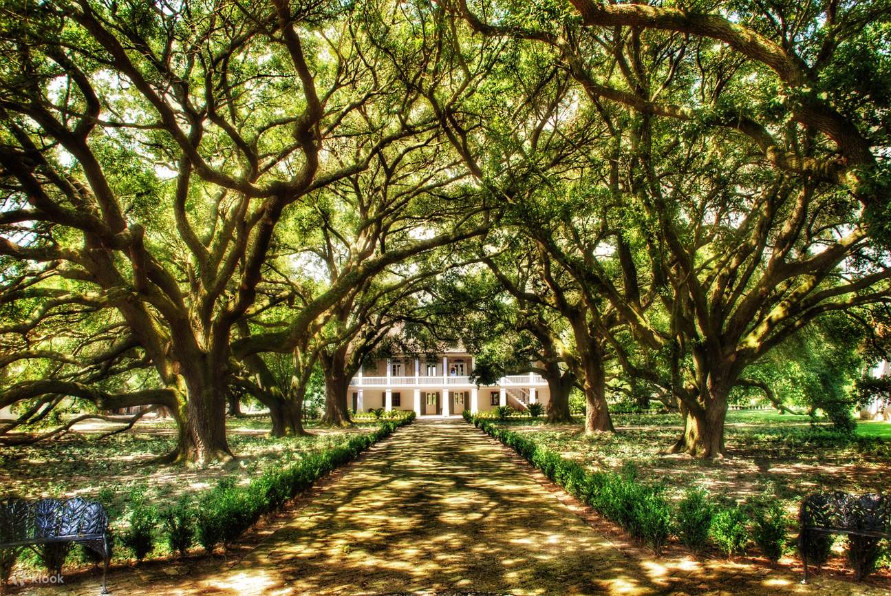 Whitney Plantation Museum Tour Klook United States