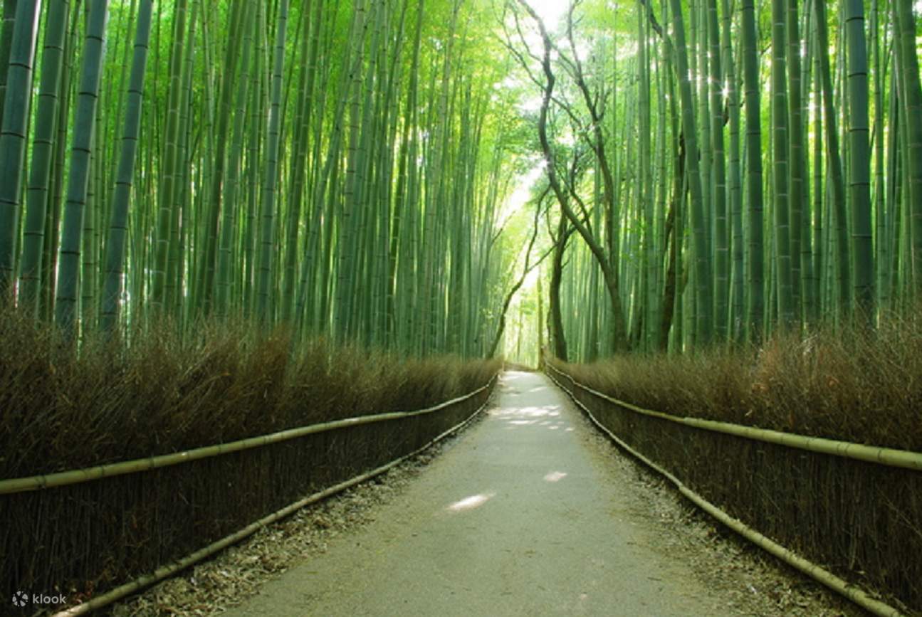 Book Arashiyama & Nara Todai-ji Tour Online from Osaka - Klook