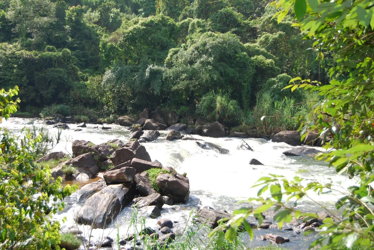 凯拉尼河