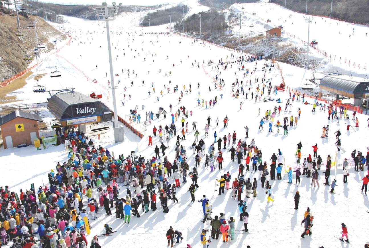 Eden Valley Ski Resort Day Tour from Daegu