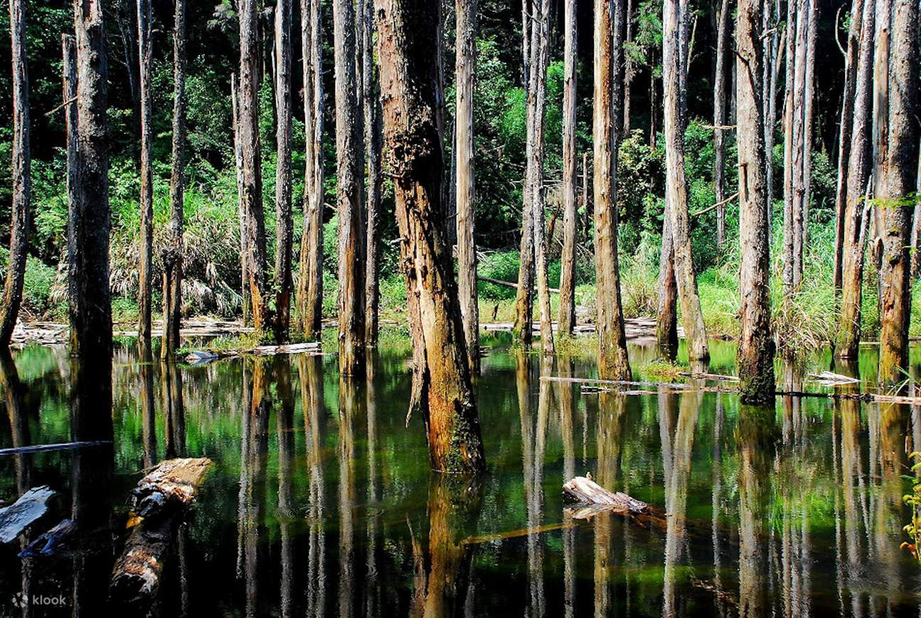 Nantou gecharterte Tagestour - Shanlin Creek & Monster Village (Abfahrt von Taichung)