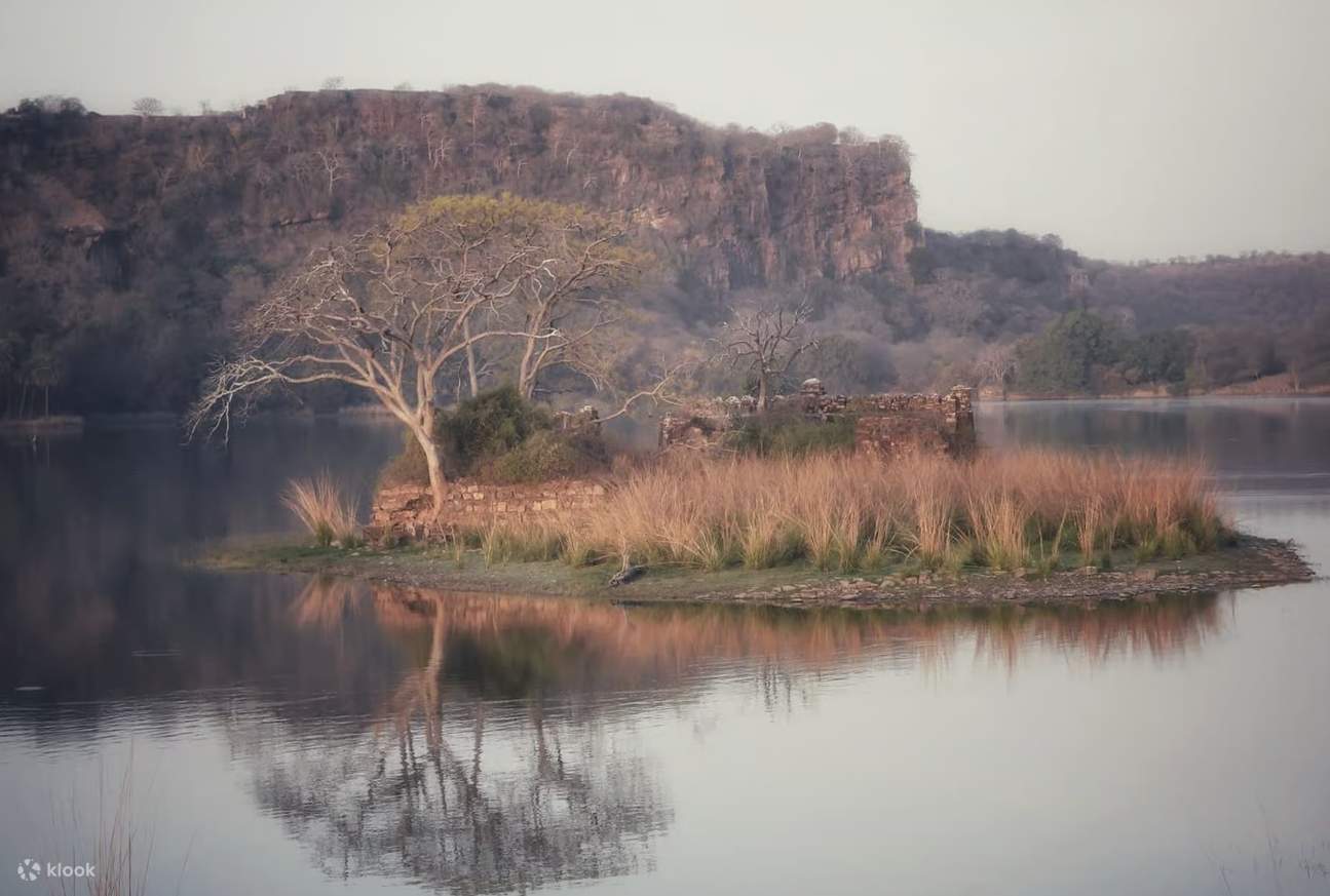 From Jaipur: Ranthambore National Park Day Trip with Safari - Klook India