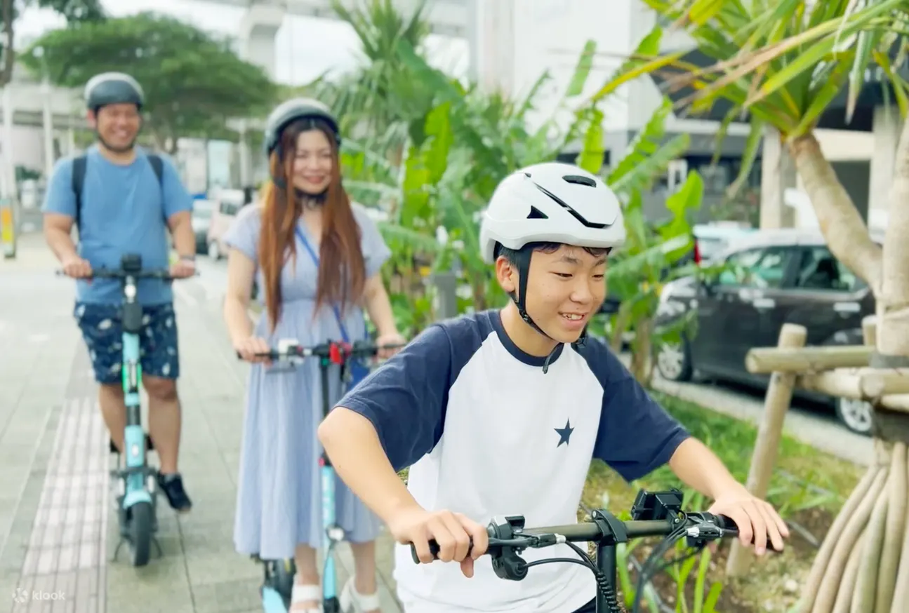 无需电动汽车驾驶经验/驾照（那霸）