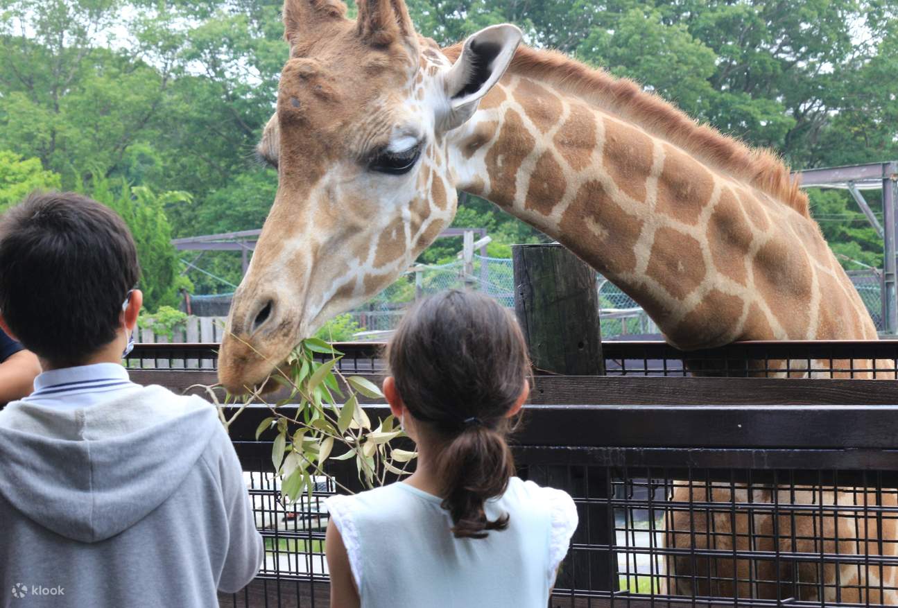 Book for the tickets to Nasu Safari Park on KLOOK and get a ...