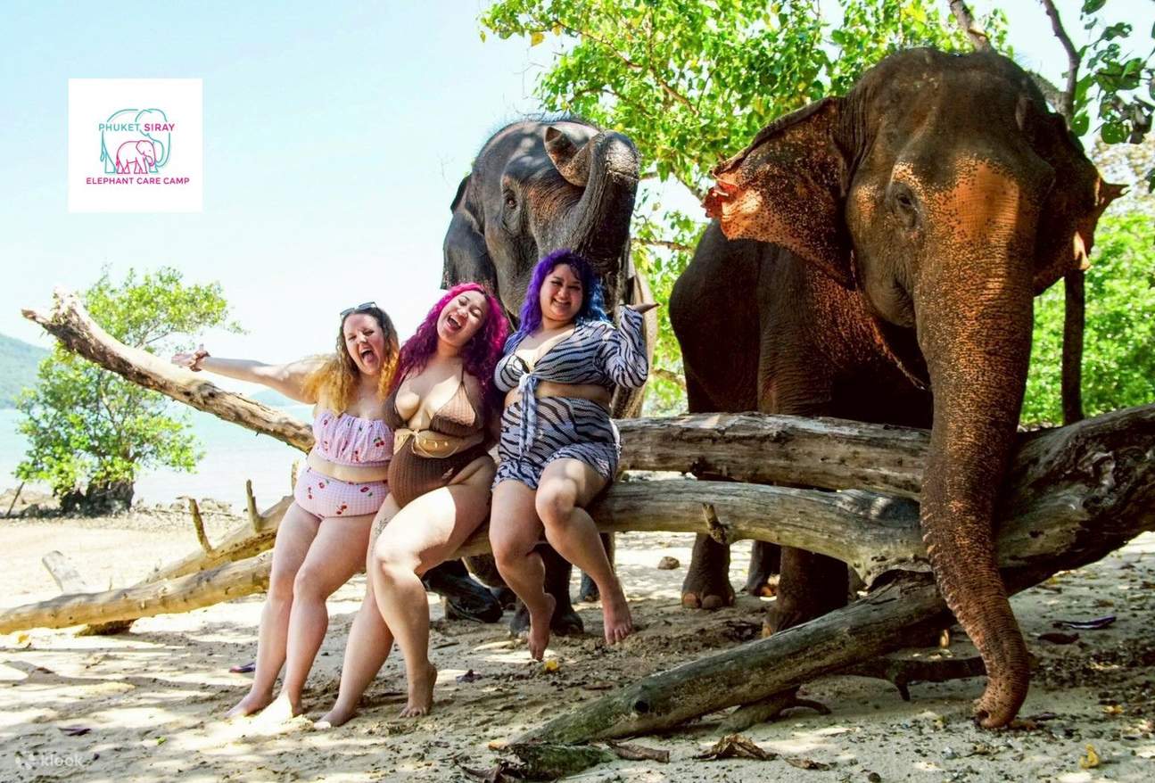 Trải nghiệm với voi và bãi biển tại Phuket Siray Elephant Care Camp