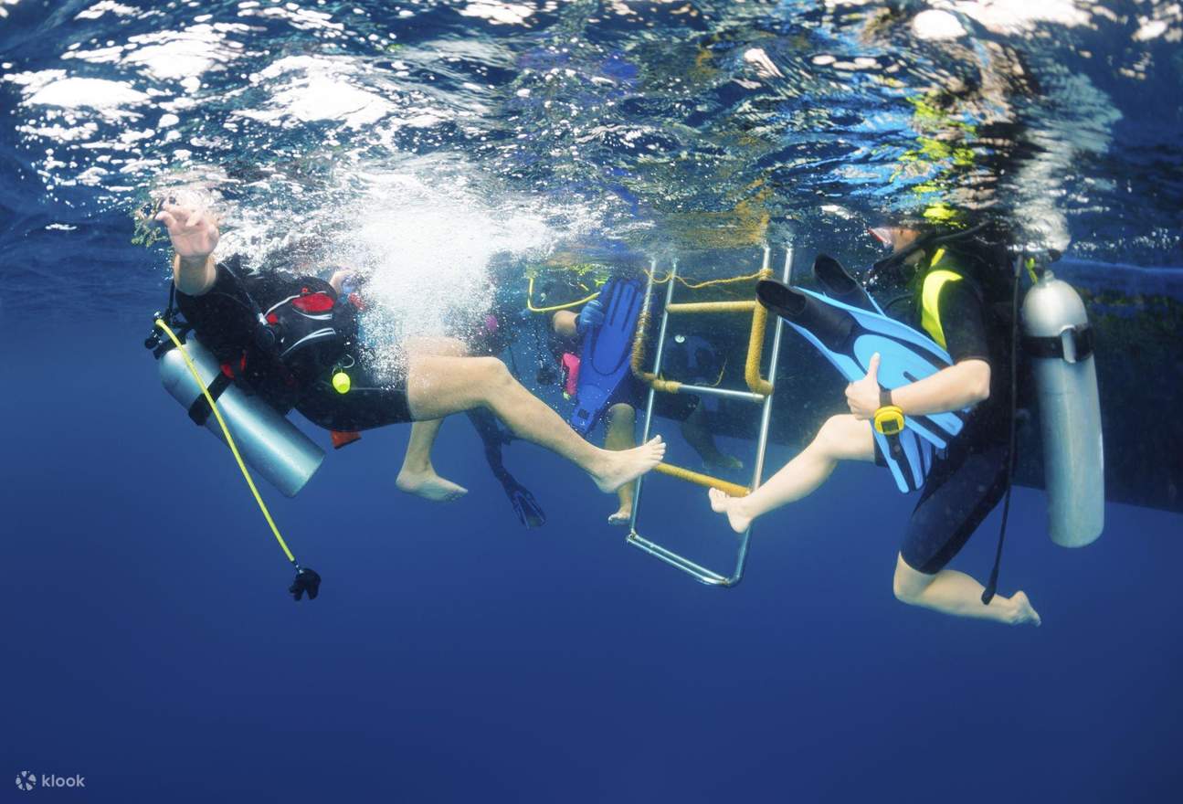 Excursión de día completo en barco para buceo de principiantes con almuerzo - Hurgada