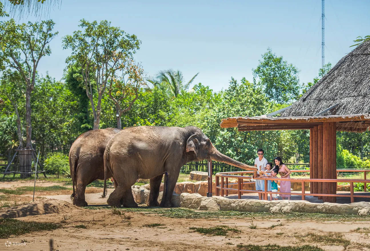Vé VinWonders Nam Hội An