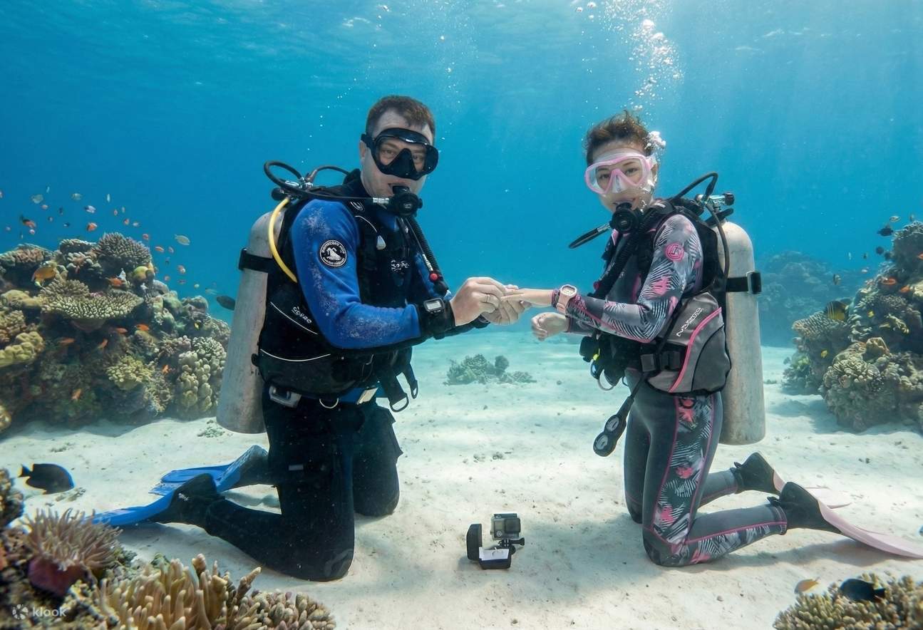 Goa: Underwater Proposal Dive