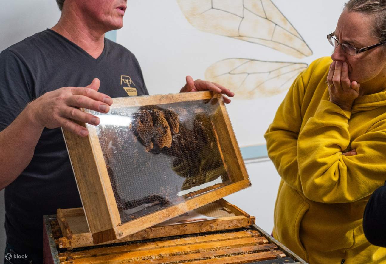 Узнайте о медовых сотах