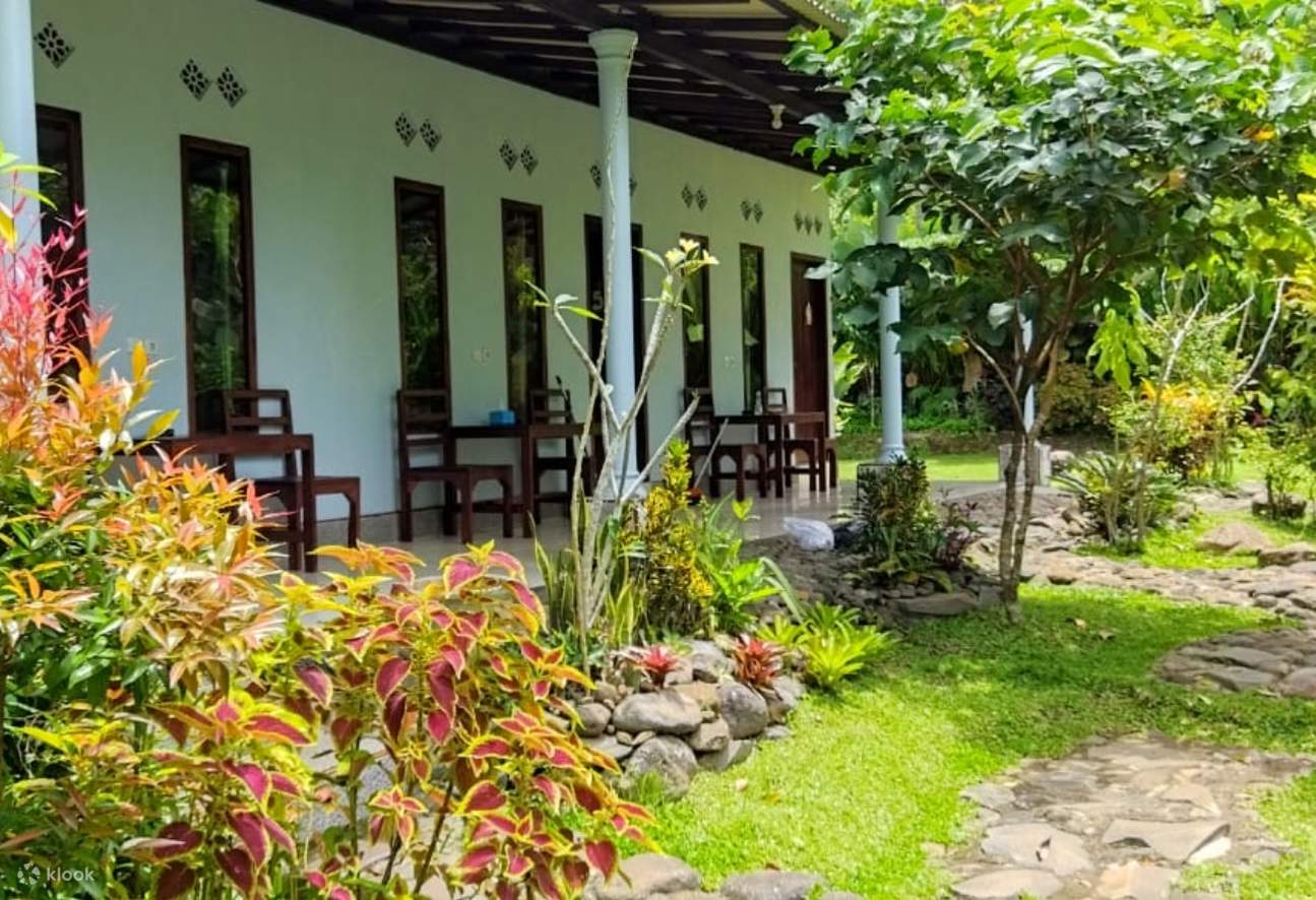 séjour chez l'habitant à Java oriental