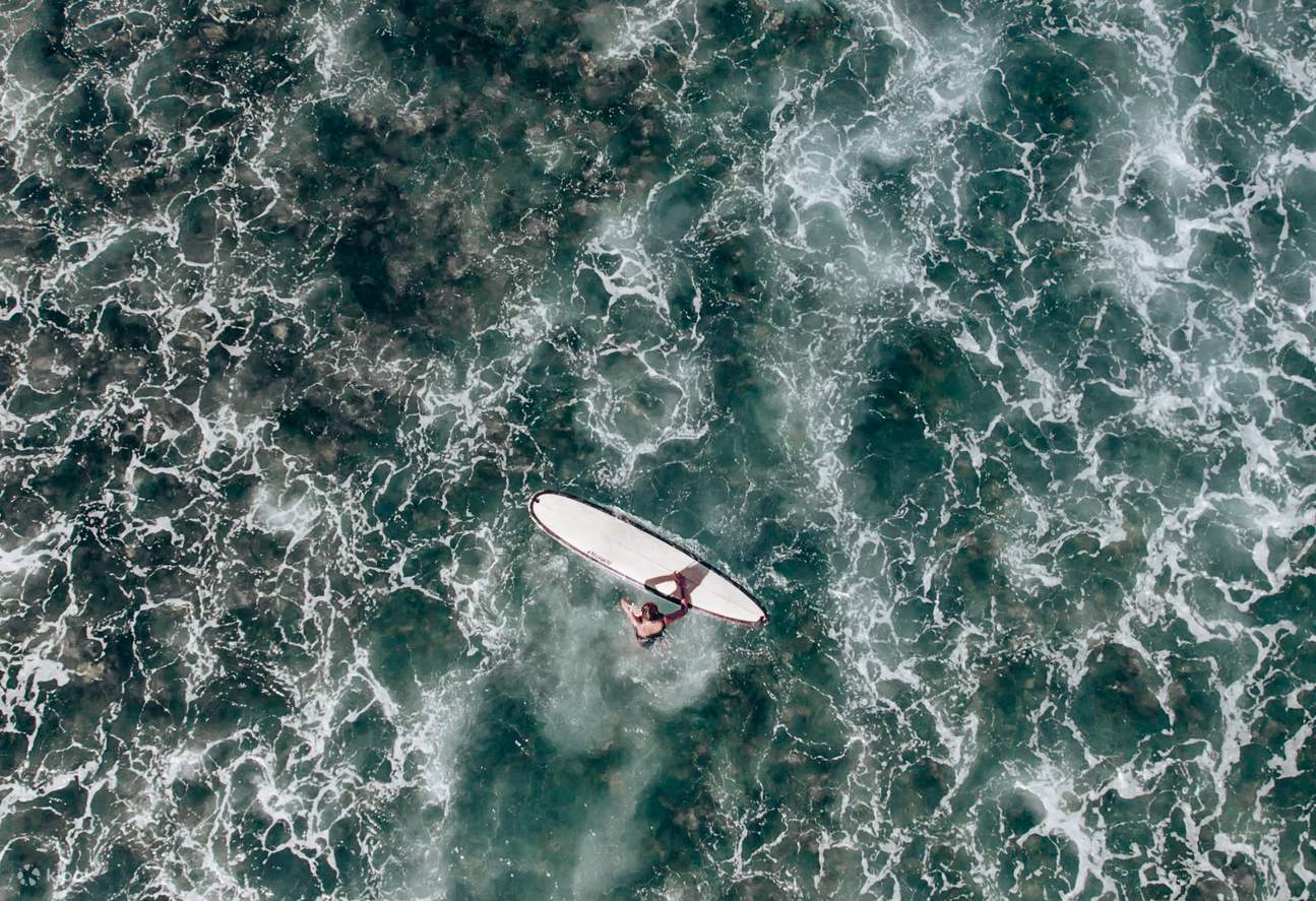 Серфинг с высоты птичьего полета