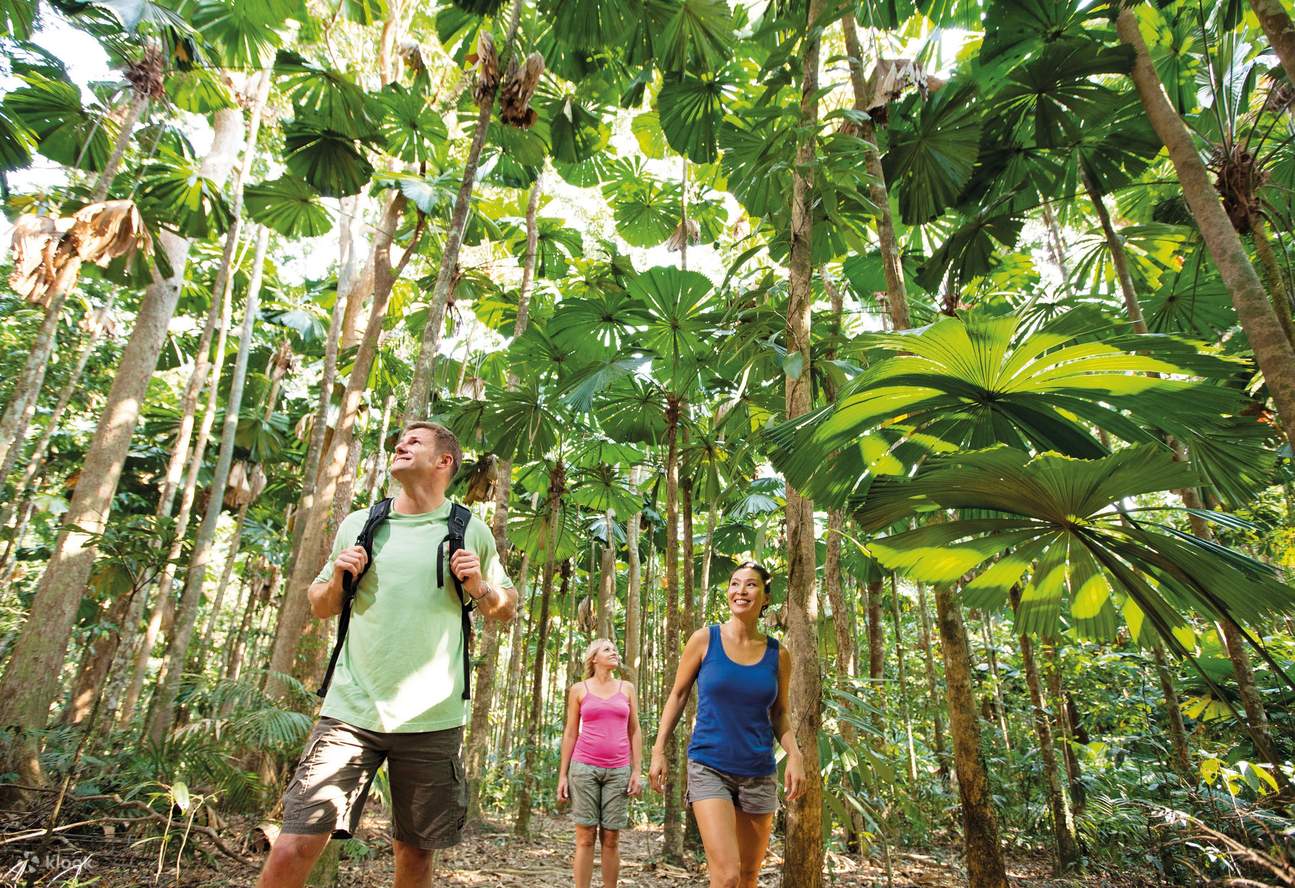 4D3N Tropical Reef and Rainforest Tour Ticket in Port Douglas - Klook