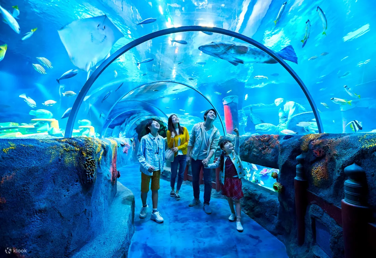 名古屋海洋生物