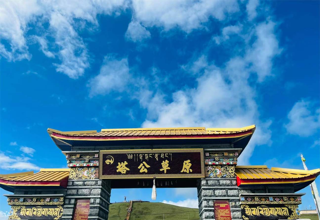 Thảo nguyên Tagong Tân Đô Kiều