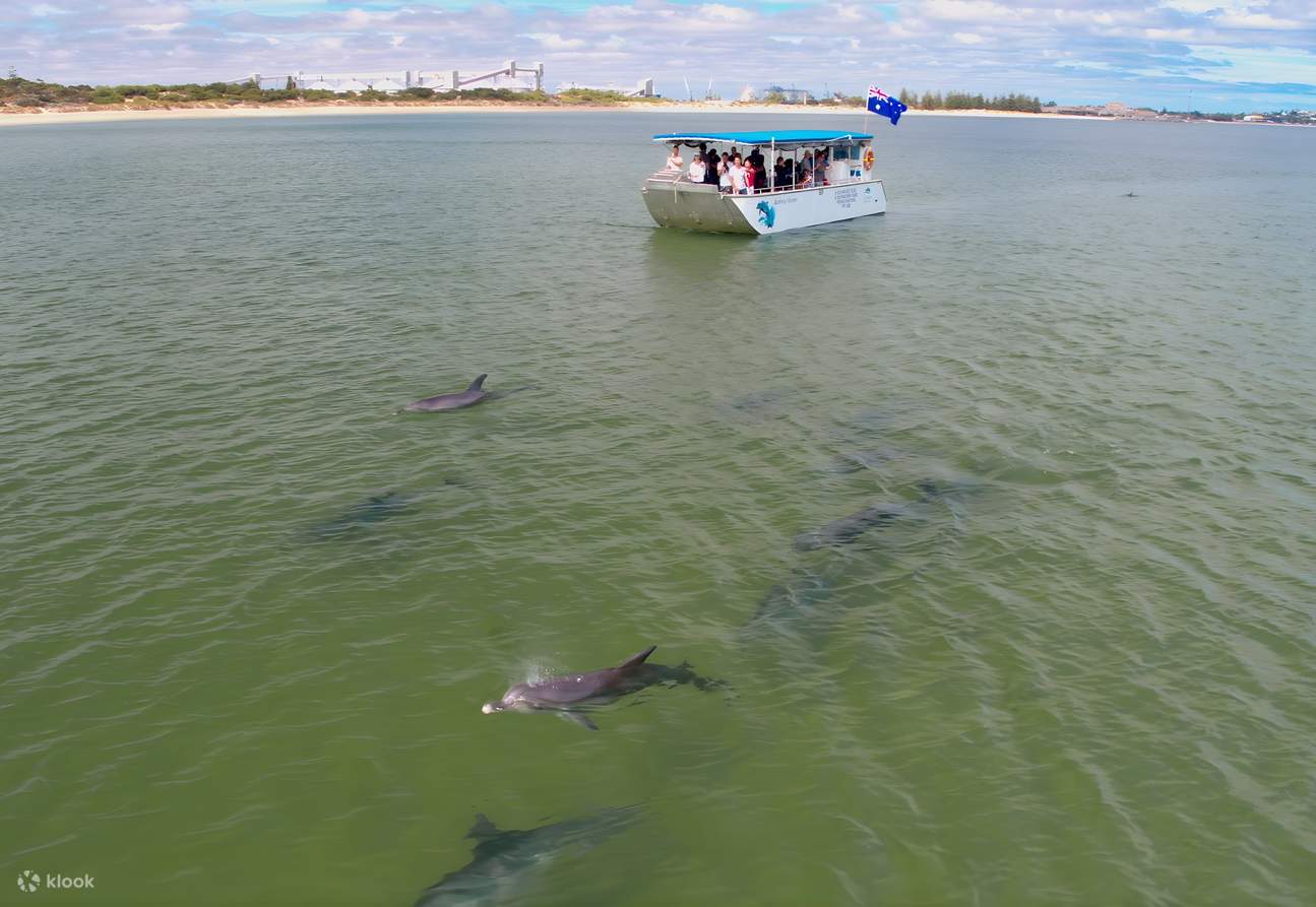 เรือนำเที่ยวสำหรับว่ายน้ำ