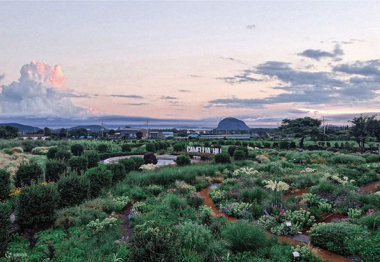 Billet d'entrée pour Camellia Hill à Jeju