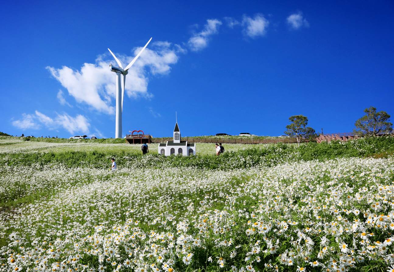 平昌私人包車遊