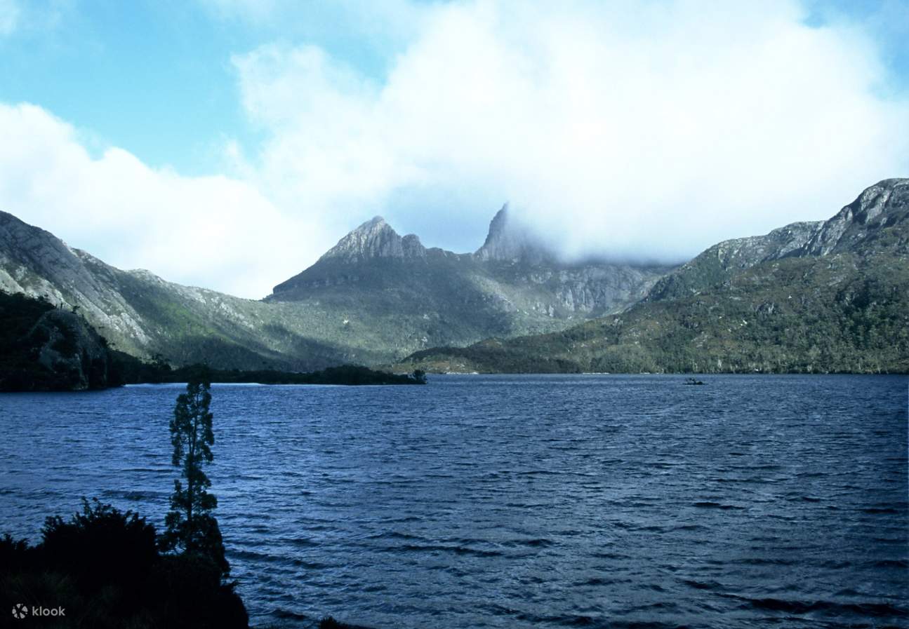 Cradle Mountain National Park Day Tour from Launceston, Australia Klook Australia