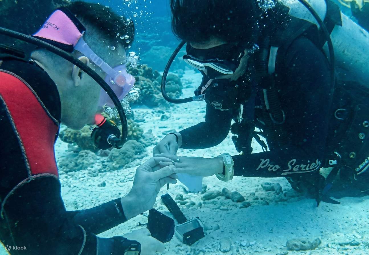 Goa: Underwater Proposal Dive