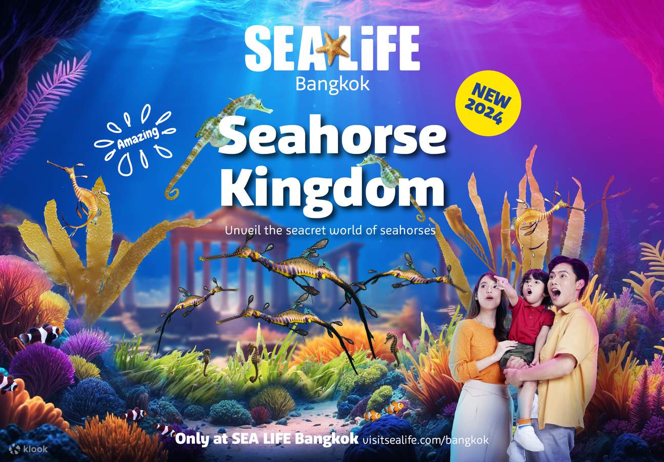 Seahorse Kingdom