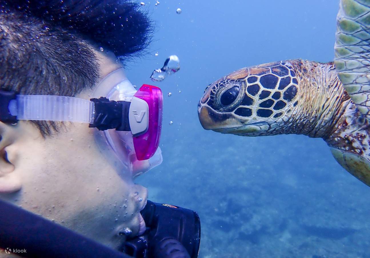Pingtung Little Liuqiu｜Scuba diving experience｜Professional photography ...