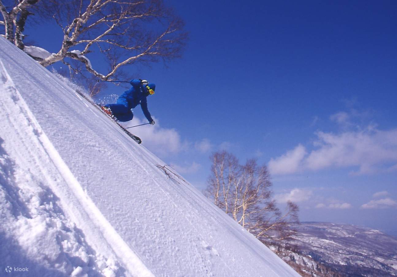 Glissez et dévalez l'une des meilleures neiges poudreuses au monde.