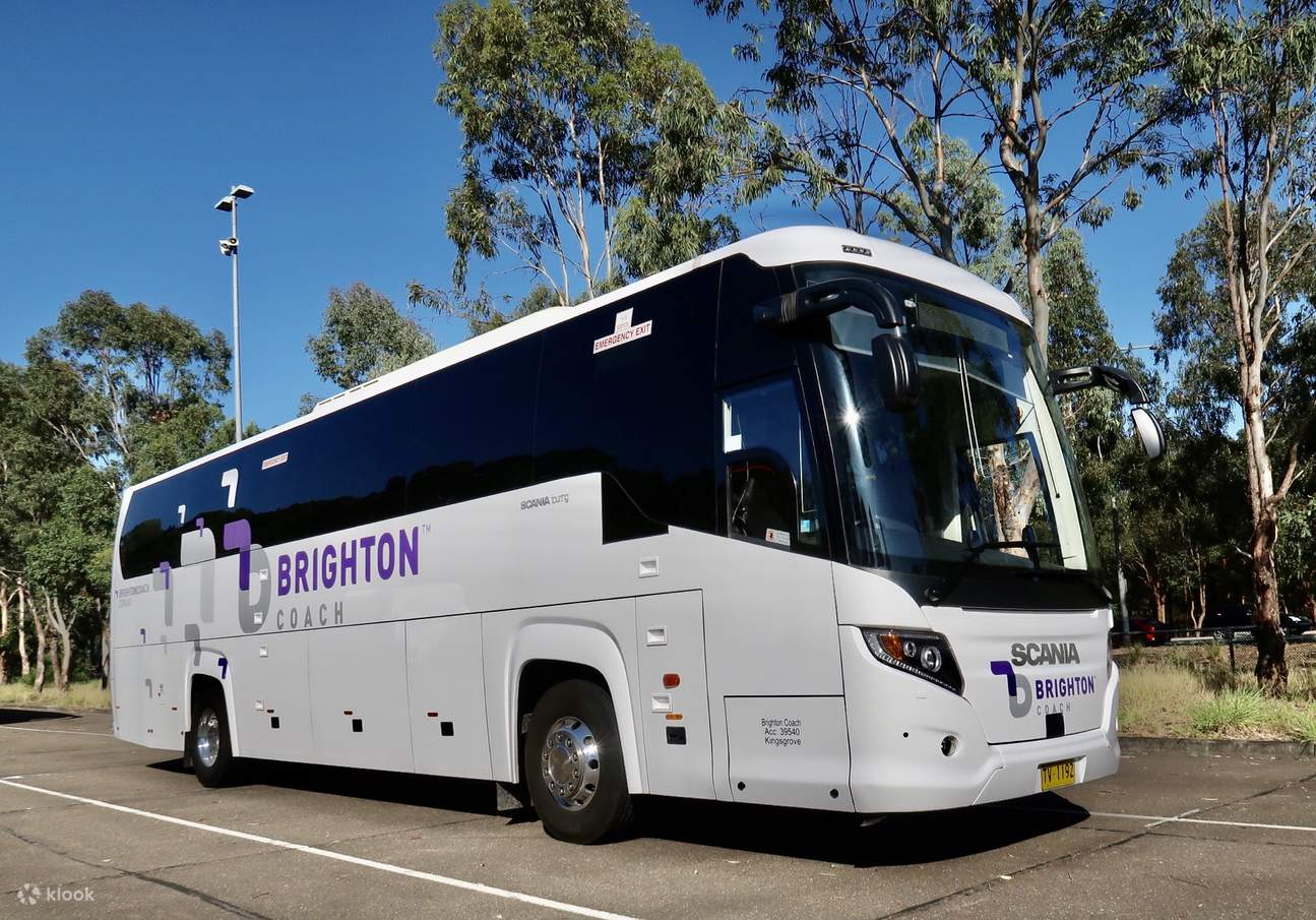 Port Stephens Return Shuttle from Sydney Bus Tour Klook Australia