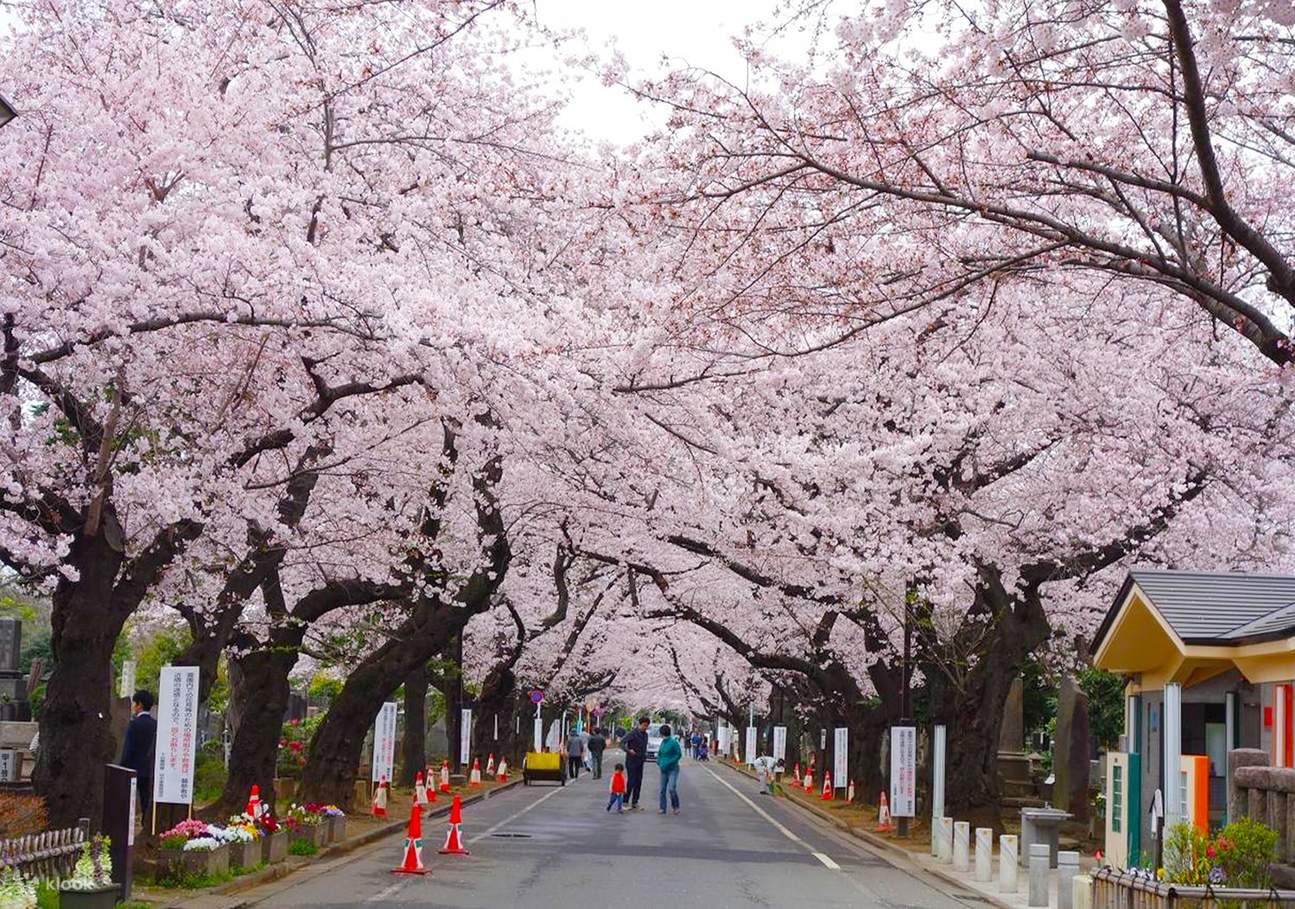 Tokyo: Old Quarter Yanaka Historical Walking Tour - Klook United States