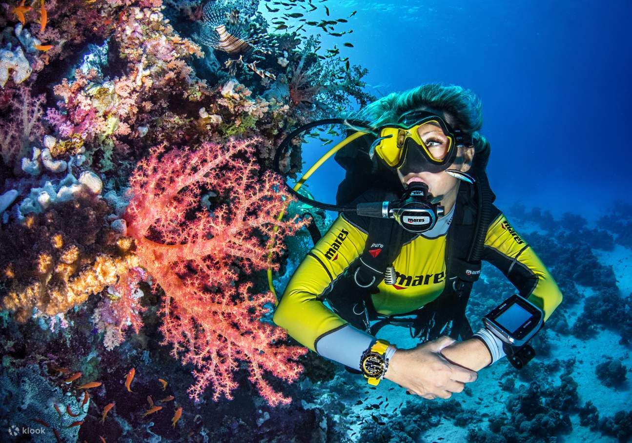 SSI Try Scuba Diving in Torre Annunziata with Sirene Boat Diving