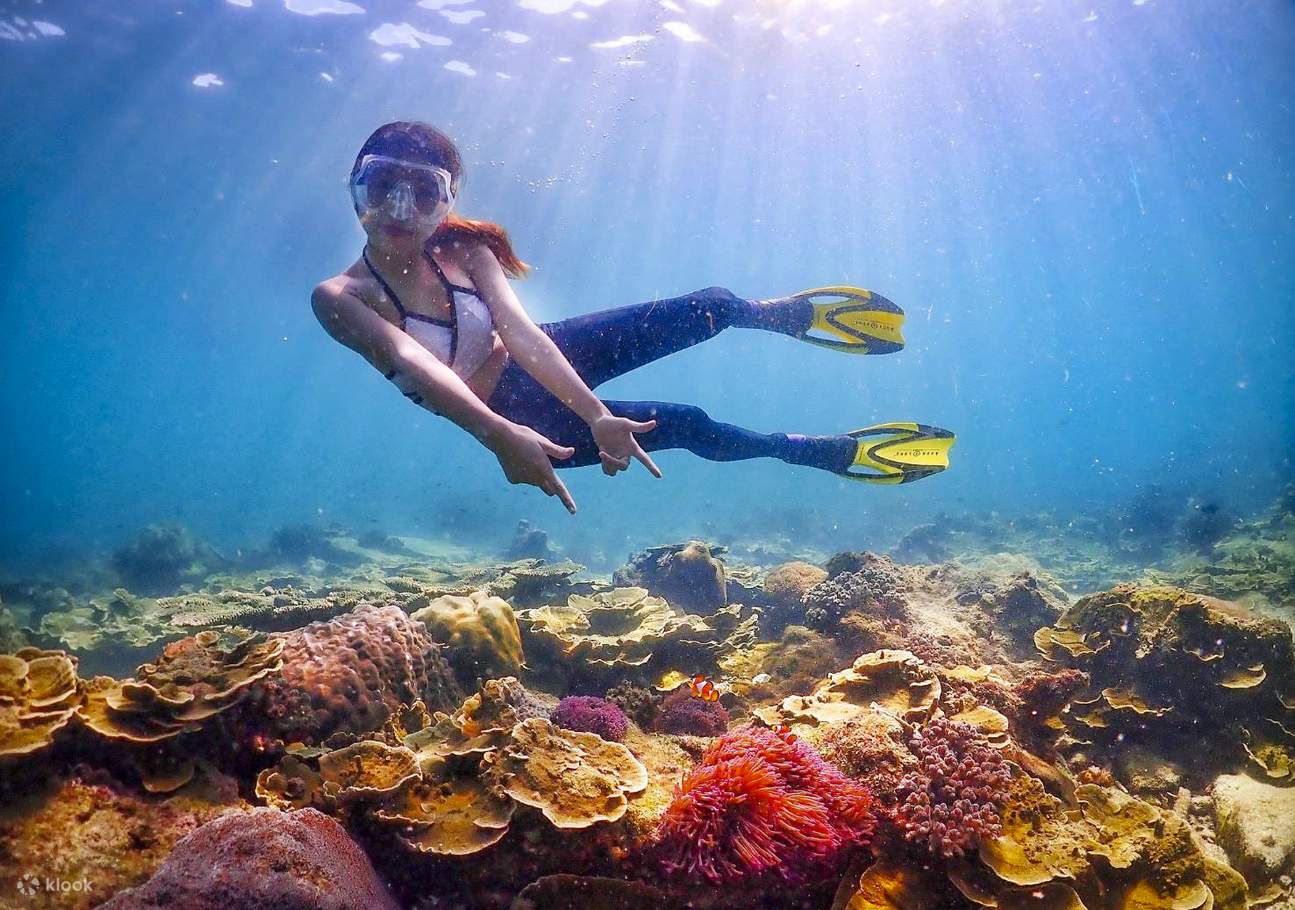 seorang gadis sedang bersnorkel dan mengambil gambar dengan karang