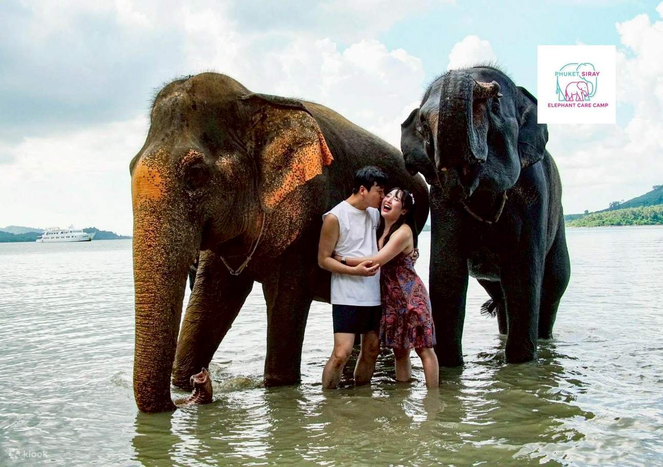 Pengalaman Bersama Gajah dan Pantai di Phuket Siray Elephant Care Camp