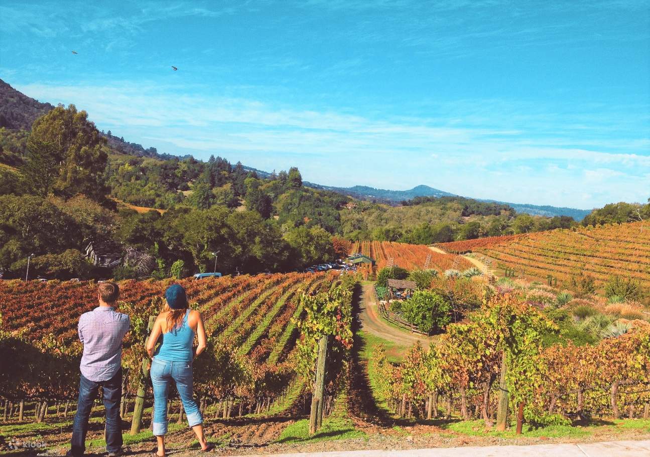 Napa and Sonoma Wine Education Day Tour from San Francisco Klook