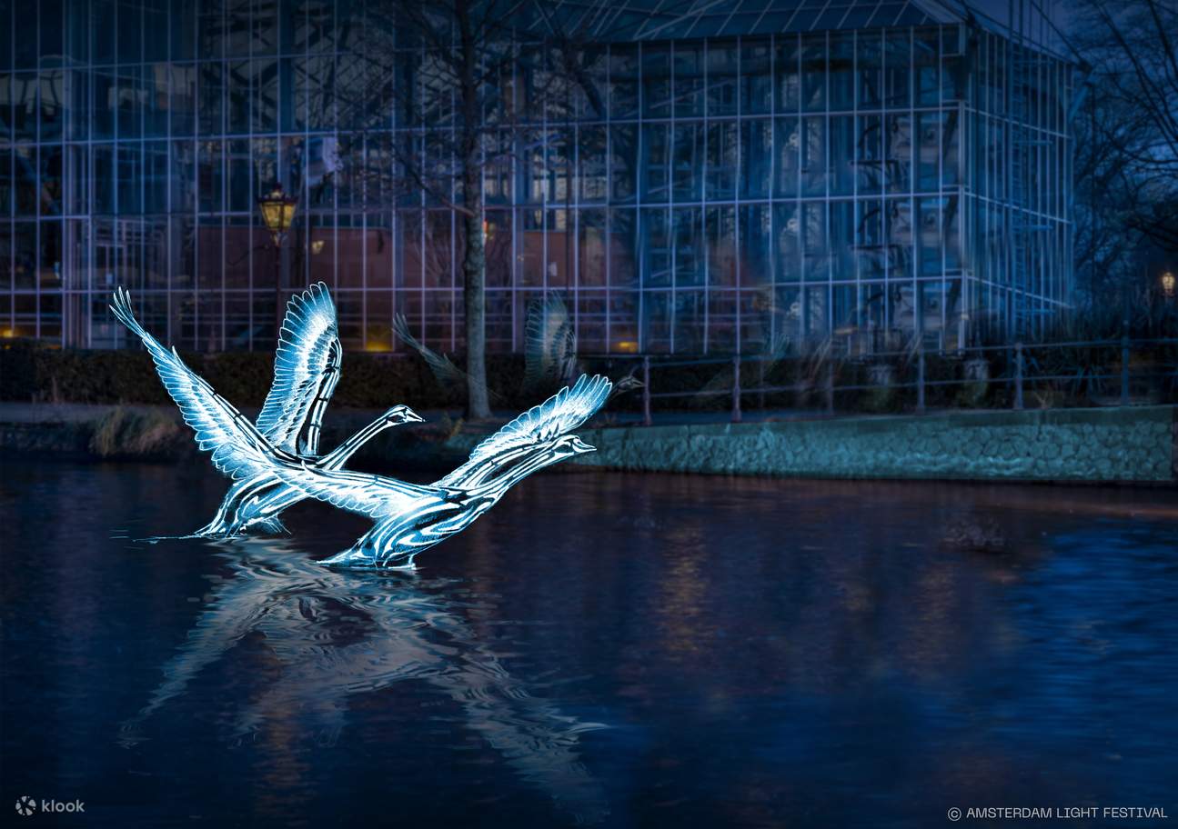 体验以水上光影故事庆祝传奇的节庆特别版