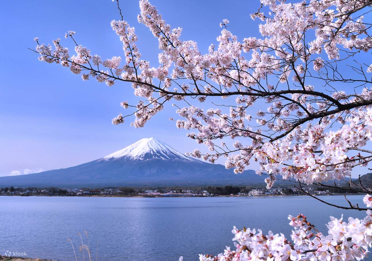 JR Pass 东京广域周游券游富士山、河口湖