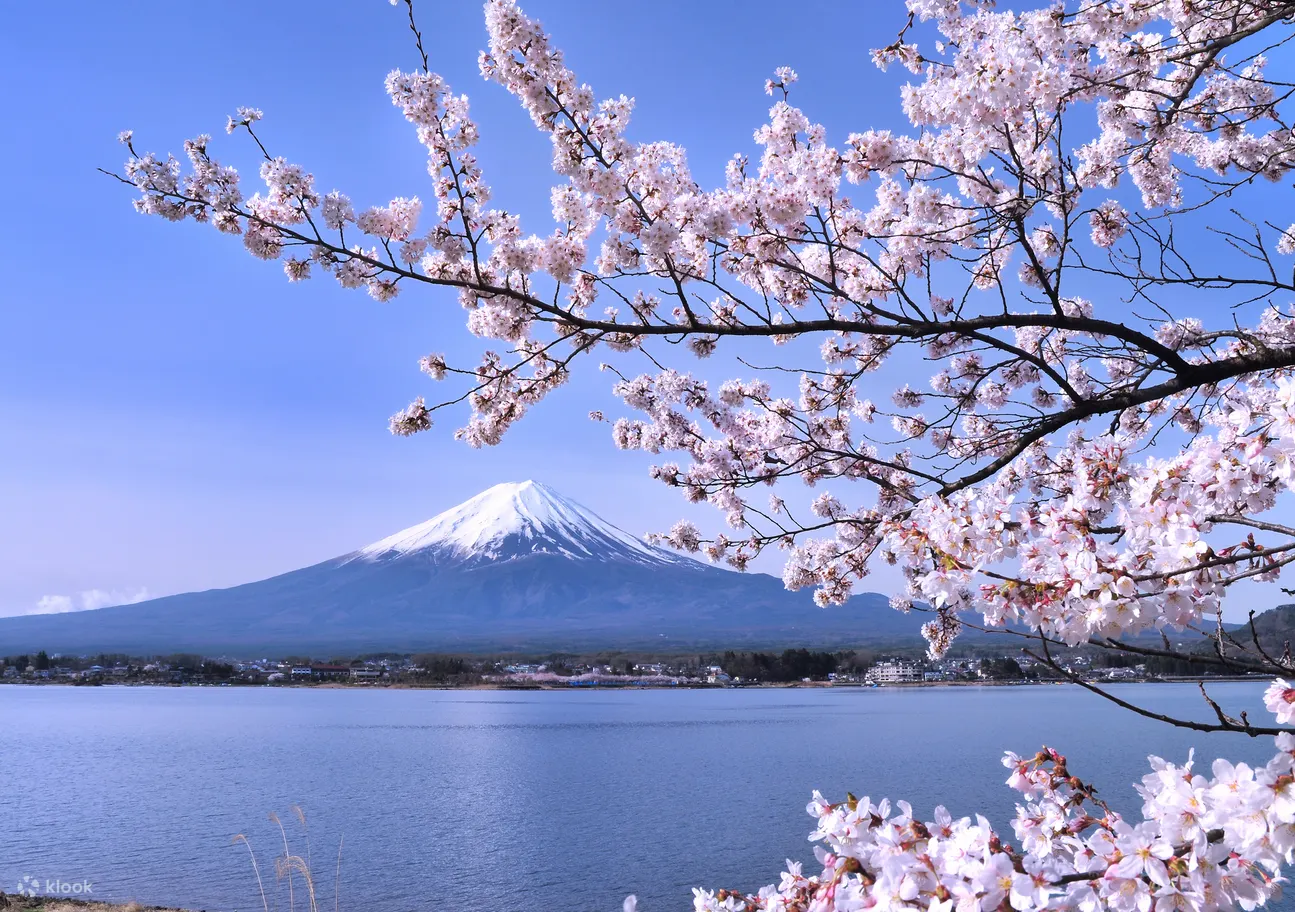 JR Pass 东京广域周游券游富士山、河口湖