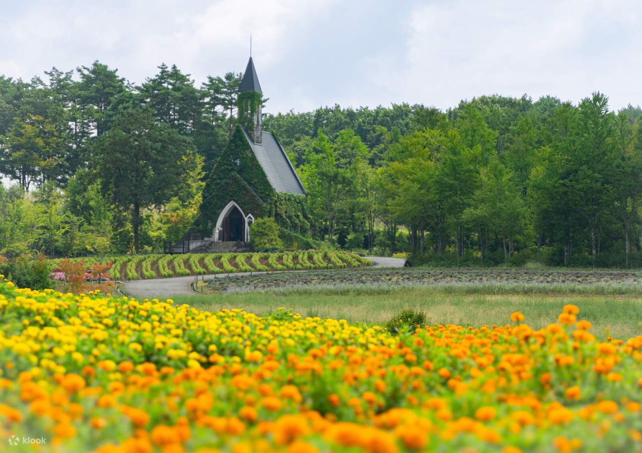 Bokkanosato & Kamikochi endagstur fra Nagoya