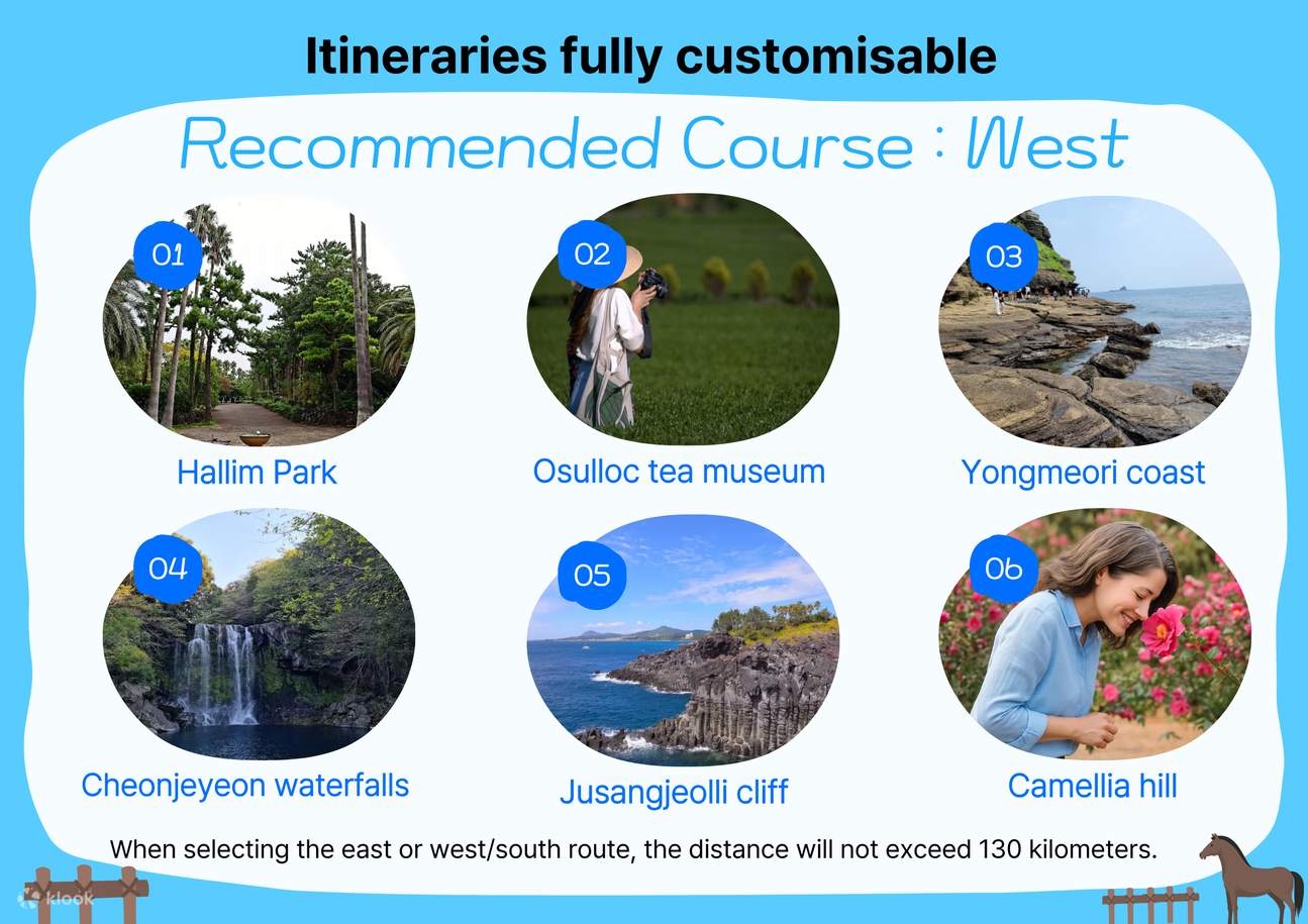 Jeju Private Car Charter with Local Expert Driver-Guide