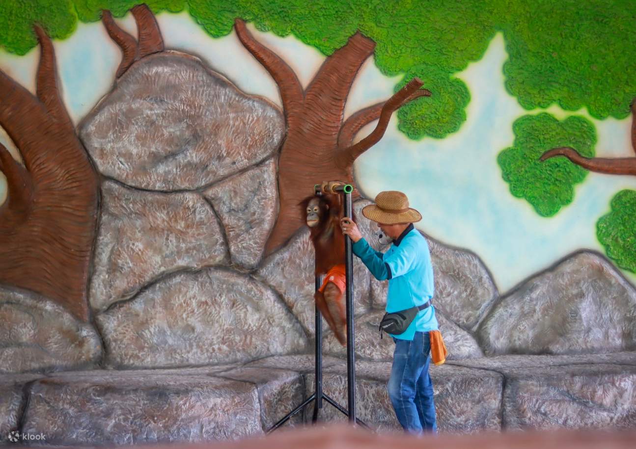 บัตรเข้าสวนสัตว์ศรีอยุธยา ไลอ้อน ปาร์ค