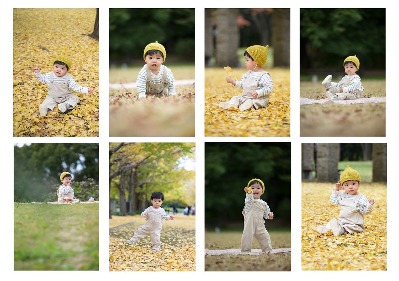 100張以上的快照照片（東京・鎌倉・川越・富士山等全國各地均可對應）