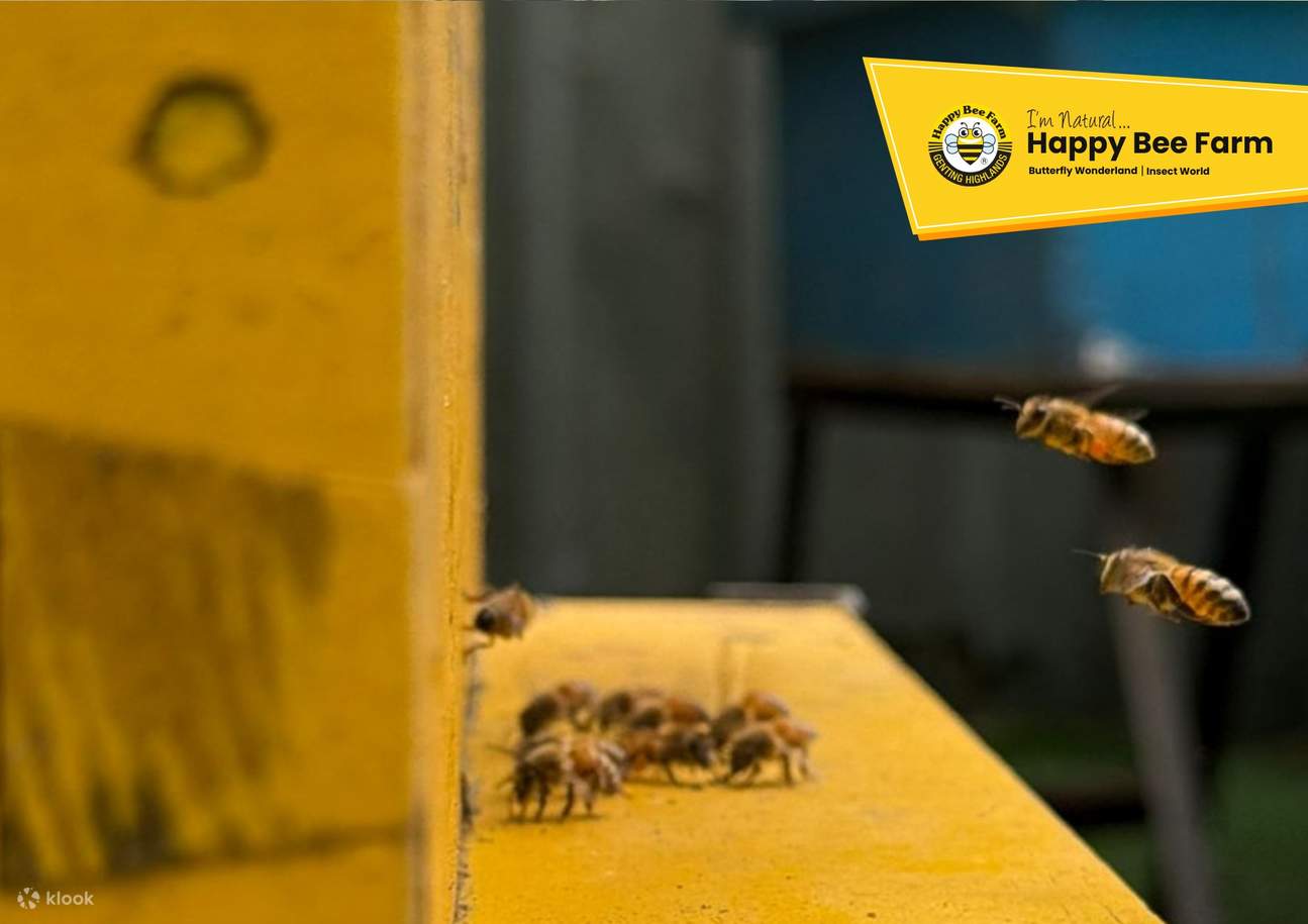 Eintrittskarte für die Happy Bee Farm