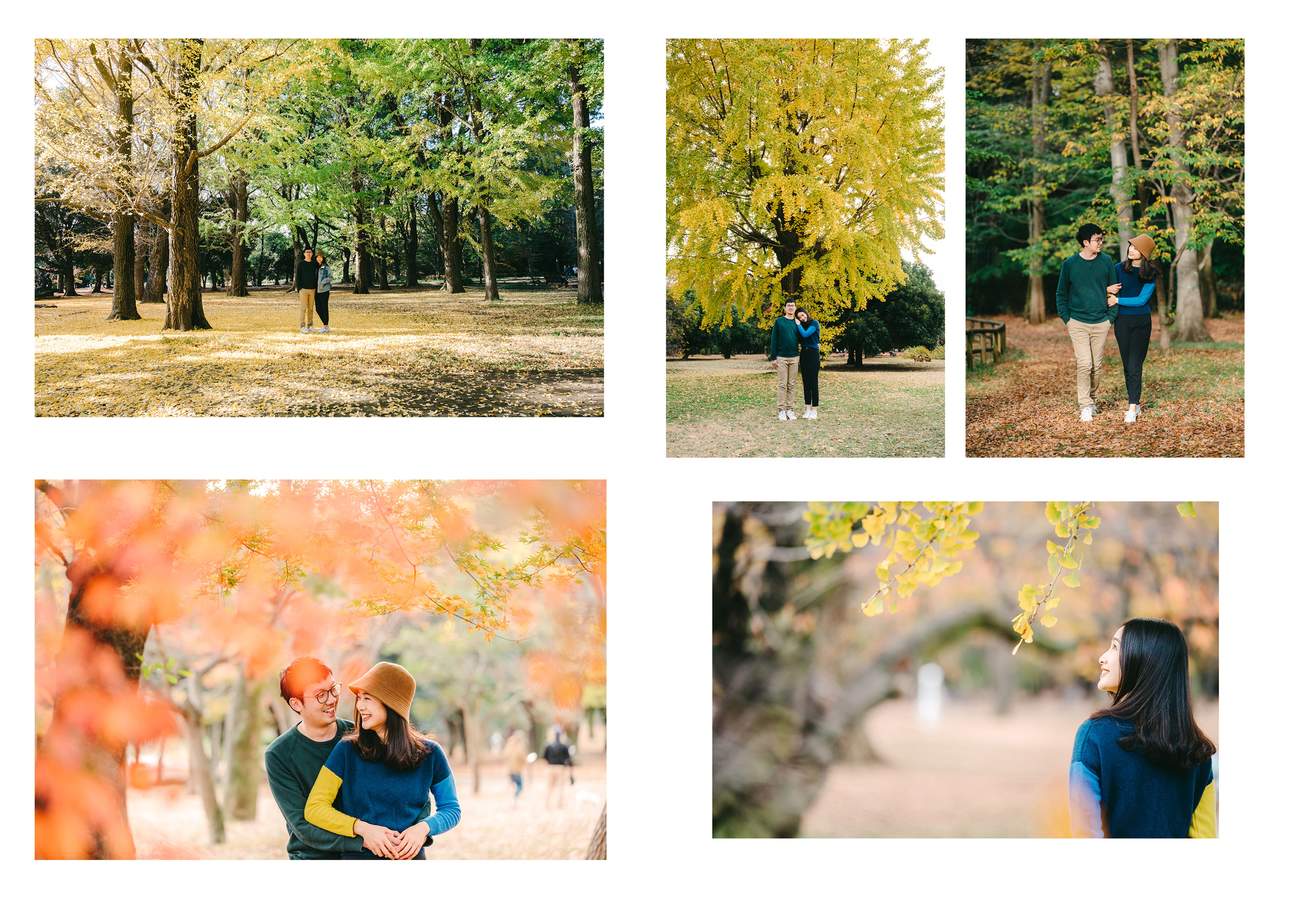 照片拍攝（可遠赴富士山、輕井澤、鎌倉、川越等地）