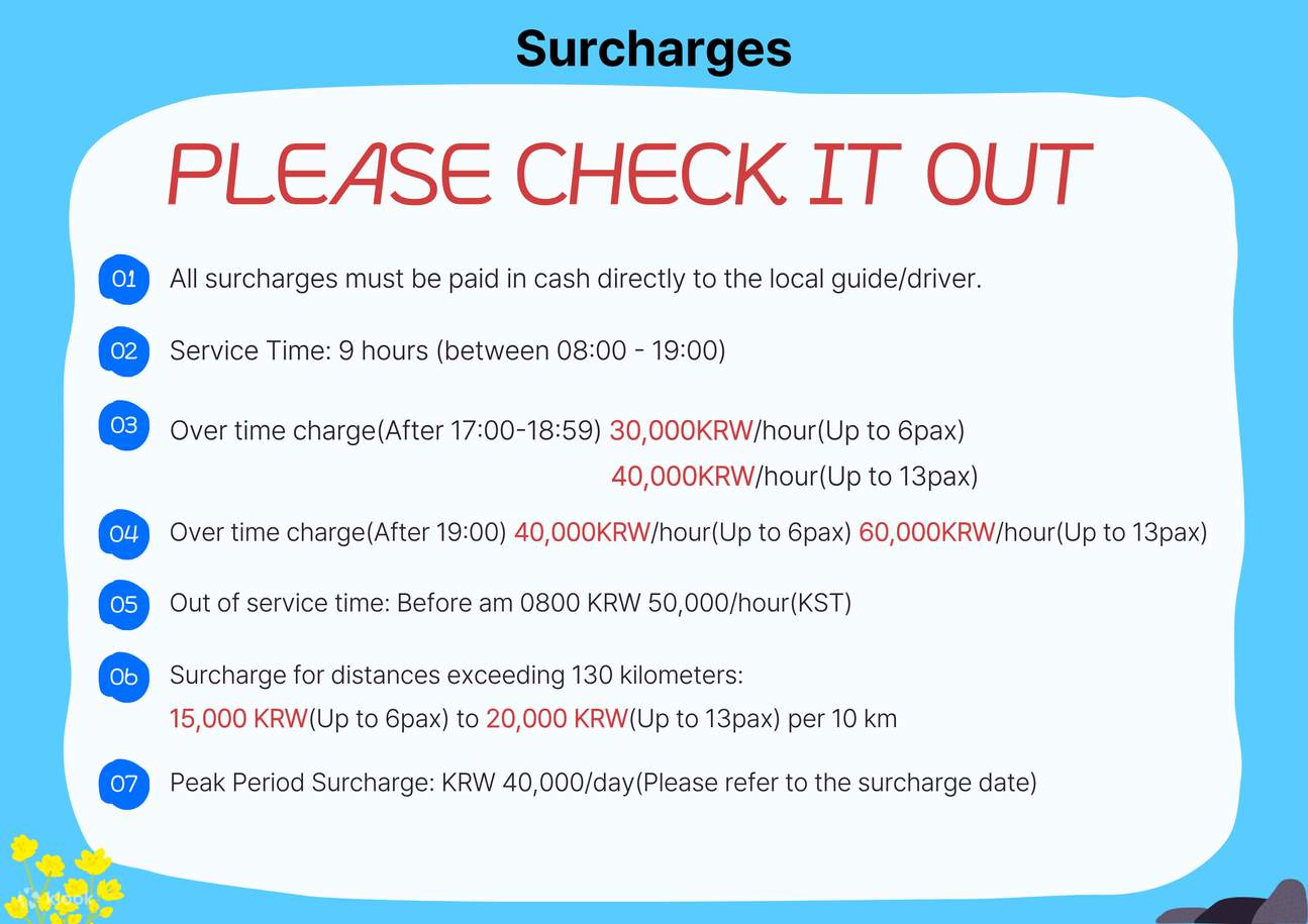 Jeju Private Car Charter with Local Expert Driver-Guide